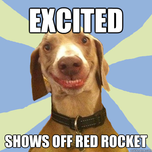 excited shows off red rocket  Disgusting Doggy