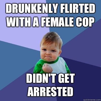 Drunkenly flirted with a female cop Didn't get arrested   Success Kid