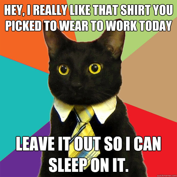 Hey, I really like that shirt you picked to wear to work today Leave it out so I can sleep on it. - Hey, I really like that shirt you picked to wear to work today Leave it out so I can sleep on it.  Business Cat