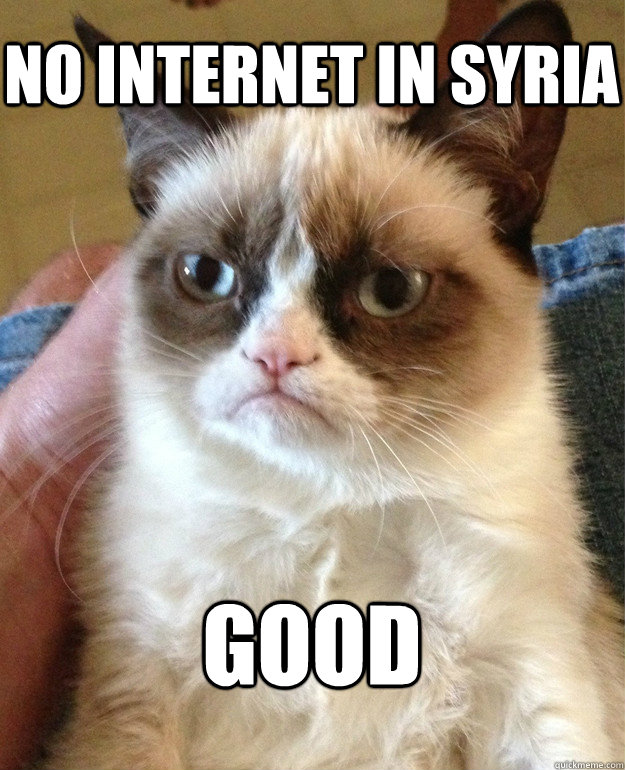 No Internet in Syria good  Grumpy Cat