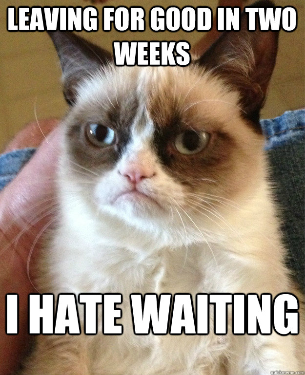 Leaving for good in two weeks I hate waiting  Grumpy Cat