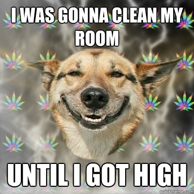 i was gonna clean my room until i got high  Stoner Dog