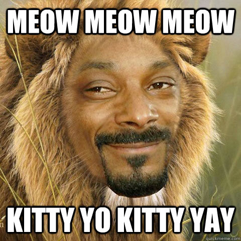 meow meow meow kitty yo kitty yay  Snoop Lion