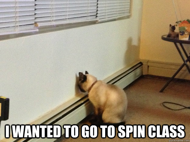  I wanted to go to spin class -  I wanted to go to spin class  Regretful Cat