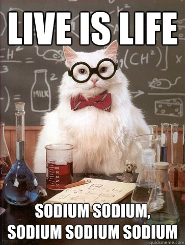 Live is life Sodium sodium, sodium sodium sodium  - Live is life Sodium sodium, sodium sodium sodium   Science Cat