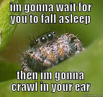 IM GONNA WAIT FOR YOU TO FALL ASLEEP THEN IM GONNA CRAWL IN YOUR EAR Misunderstood Spider