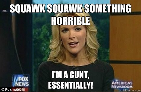 Squawk squawk something horrible I'm a cunt,
Essentially!  Megyn Kelly