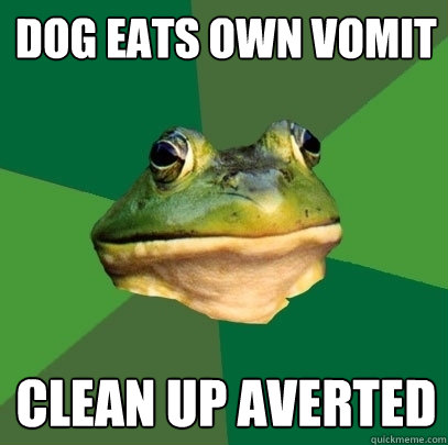 Dog eats own vomit clean up averted  Foul Bachelor Frog