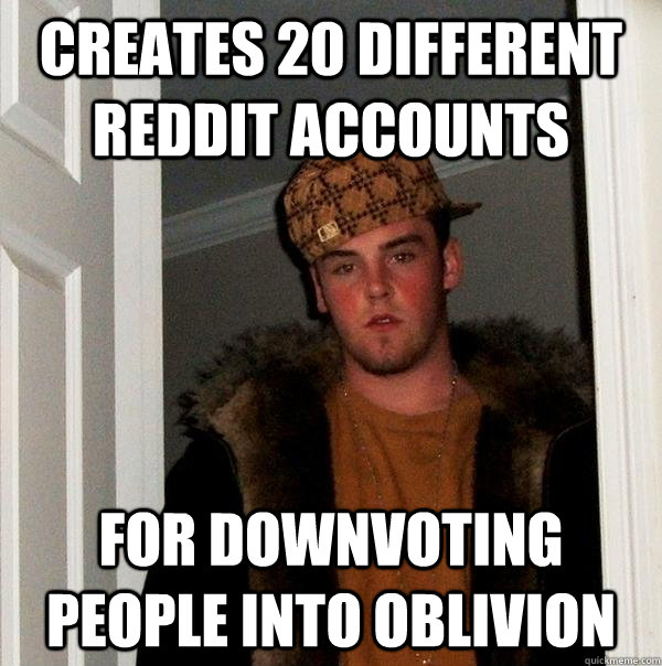 creates 20 different reddit accounts for downvoting people into oblivion  Scumbag Steve