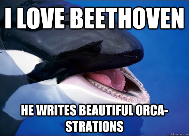 I love Beethoven He writes beautiful Orca-strations - I love Beethoven He writes beautiful Orca-strations  Self-Referencing Orca