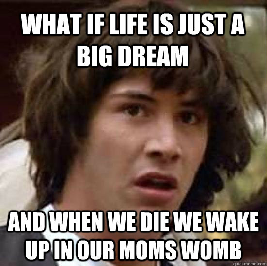 What if life is just a big dream  and when we die we wake up in our moms womb  conspiracy keanu