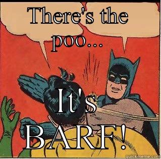 Cat owners be like... - THERE'S THE POO... IT'S BARF! Slappin Batman