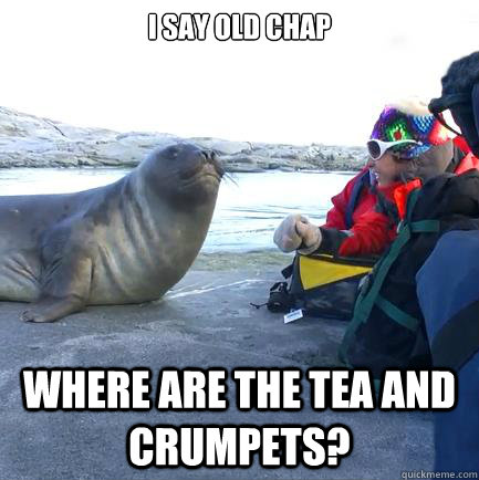 I say old Chap Where are the tea and crumpets? - I say old Chap Where are the tea and crumpets?  High Class Walrus