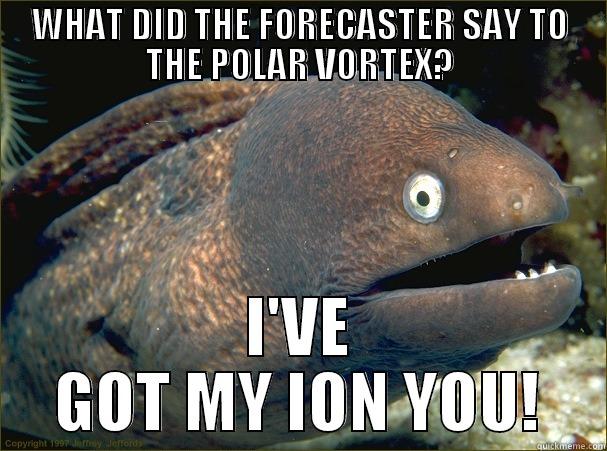 ion ion ion - WHAT DID THE FORECASTER SAY TO THE POLAR VORTEX? I'VE GOT MY ION YOU! Bad Joke Eel