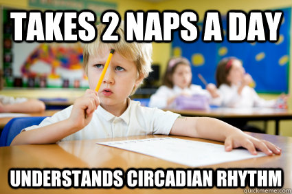 Takes 2 naps a day Understands circadian rhythm - Takes 2 naps a day Understands circadian rhythm  ELI5 KID