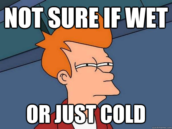 Not sure if wet Or just cold - Not sure if wet Or just cold  Futurama Fry