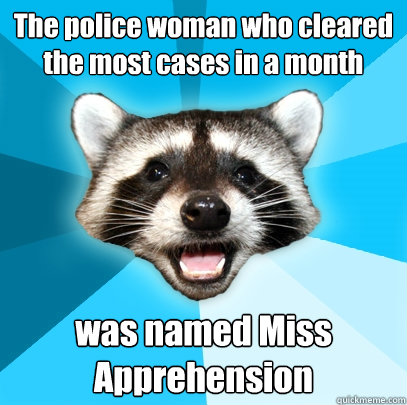 The police woman who cleared the most cases in a month was named Miss Apprehension  - The police woman who cleared the most cases in a month was named Miss Apprehension   Lame Pun Coon