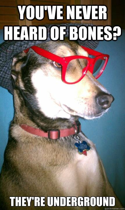 You've never heard of bones? They're underground  Hipster Dog