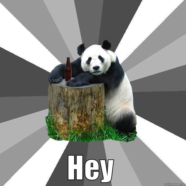  HEY Pickup-Line Panda