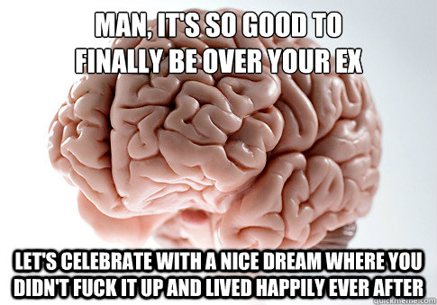 Man, it's so good to 
finally be over your ex Let's celebrate with a nice dream where you didn't fuck it up and lived happily ever after  Scumbag Brain