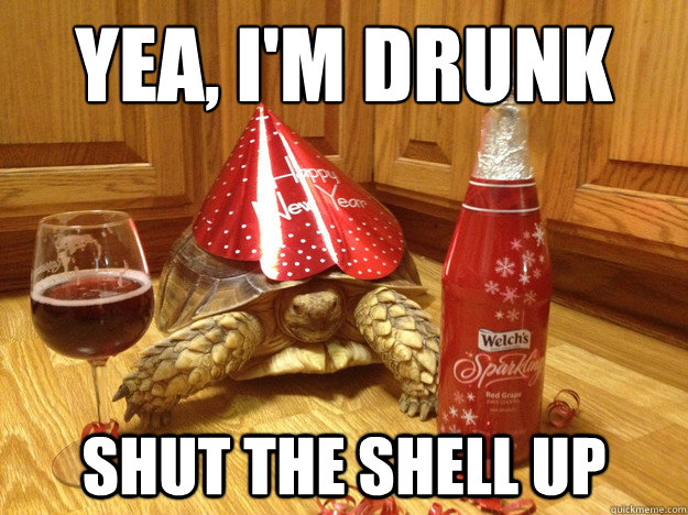 Yea, I'm drunk shut the shell up  Tipsy Turtle