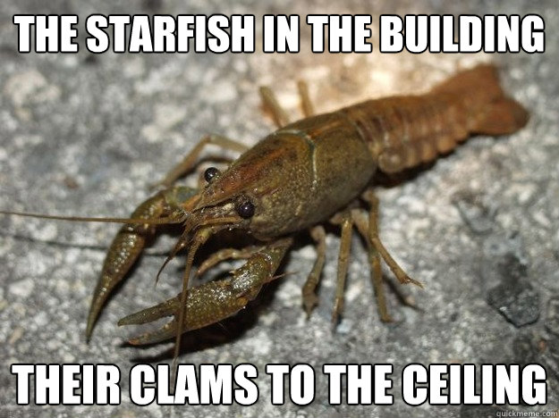 The starfish in the building Their clams to the ceiling  that fish cray