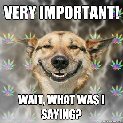 VERY IMPORTANT! Wait, what was I saying?  Stoner Dog