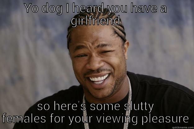 YO DOG I HEARD YOU HAVE A GIRLFRIEND SO HERE'S SOME SLUTTY FEMALES FOR YOUR VIEWING PLEASURE Xzibit meme