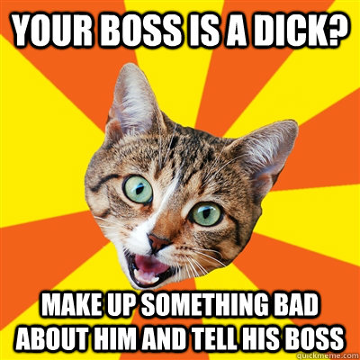 Your boss is a dick? make up something bad about him and tell his boss  Bad Advice Cat