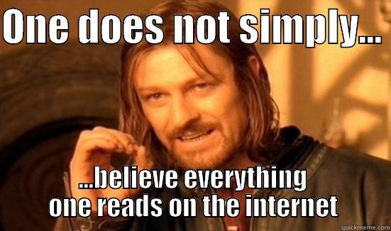 ONE DOES NOT SIMPLY...  ...BELIEVE EVERYTHING ONE READS ON THE INTERNET Boromir