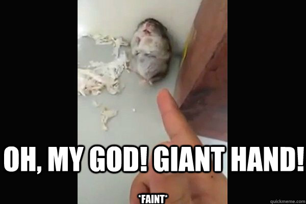 Oh, My God! Giant Hand! *Faint*  dead hamster