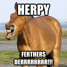 HERPY  FERTHERS DERRRRRRRR!!!  Confused horse