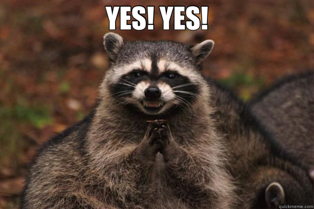 YES! YES!  - YES! YES!   Evil Plotting Raccoon