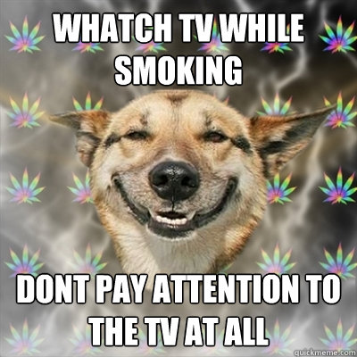 whatch tv while smoking DONT PAY ATTENTION TO THE TV AT ALL  Stoner Dog