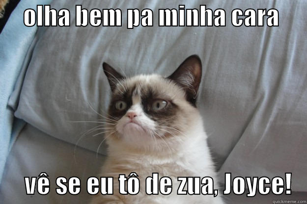      OLHA BEM PA MINHA CARA             VÊ SE EU TÔ DE ZUA, JOYCE!   Grumpy Cat