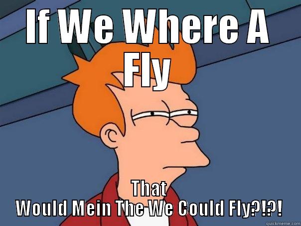 IF WE WHERE A FLY THAT WOULD MEIN THE WE COULD FLY?!?! Futurama Fry