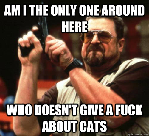 Am i the only one around here Who doesn't give a fuck about cats  Am I The Only One Around Here