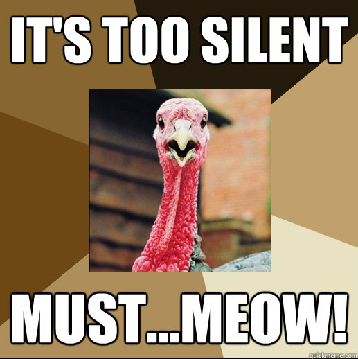 It's too silent must...meow!  