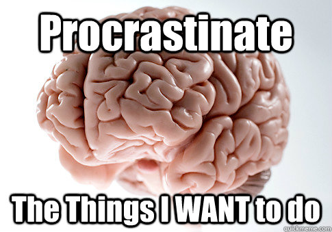 Procrastinate The Things I WANT to do  Scumbag Brain