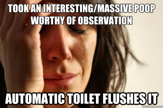 took an interesting/massive poop worthy of observation automatic toilet flushes it    First World Problems