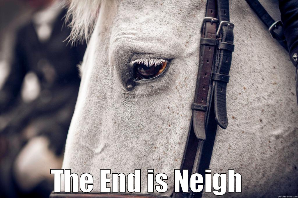 The end is neigh -  THE END IS NEIGH Misc