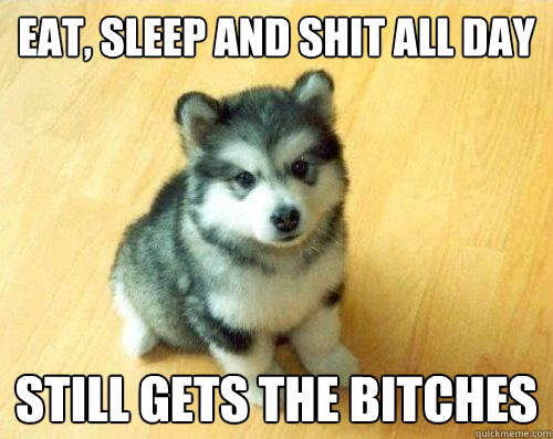 Eat, sleep and shit all day still gets the bitches  Baby Courage Wolf