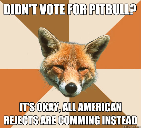 Didn't Vote For Pitbull? It's okay, All american rejects are comming instead  Condescending Fox