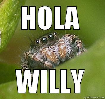 HOLA WILLY Misunderstood Spider