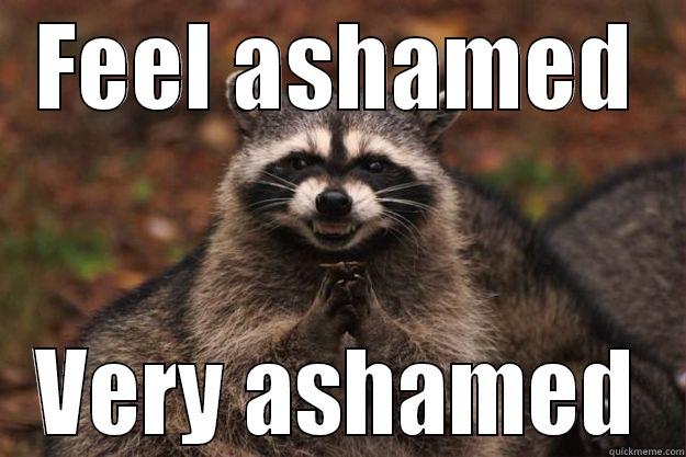 FEEL ASHAMED VERY ASHAMED Evil Plotting Raccoon