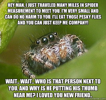 Hey man, I just traveled many miles in spider measurement to meet you. I'm very small and can do no harm to you. I'll eat those pesky flies and you can just keep me company! Wait.. wait.. who is that person next to you, and why is he putting his thumb nea  Misunderstood Spider