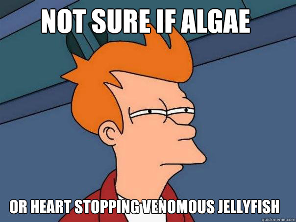 not sure if algae or heart stopping venomous jellyfish - not sure if algae or heart stopping venomous jellyfish  Futurama Fry