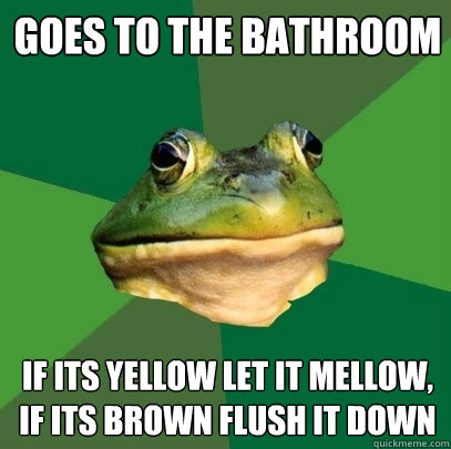 Goes to the Bathroom if its yellow let it mellow, if its brown flush it down - Goes to the Bathroom if its yellow let it mellow, if its brown flush it down  Foul Bachelor Frog