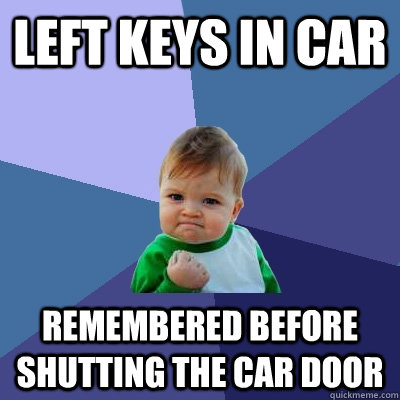 left keys in car remembered before shutting the car door  Success Kid