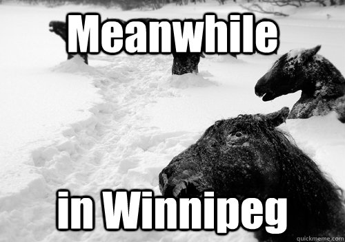 Meanwhile in Winnipeg  